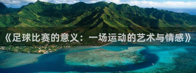  《足球比赛的意义：一场运动的艺术与情感》