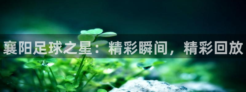 襄阳足球之星：精彩瞬间，精彩回放