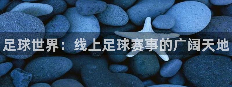  足球世界：线上足球赛事的广阔天地
