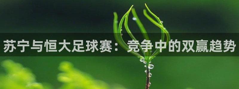 苏宁与恒大足球赛：竞争中的双赢趋势