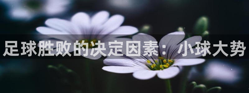  足球胜败的决定因素：小球大势