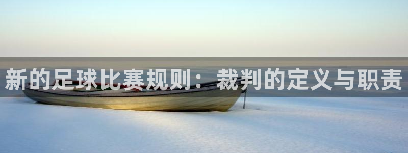  新的足球比赛规则：裁判的定义与职责