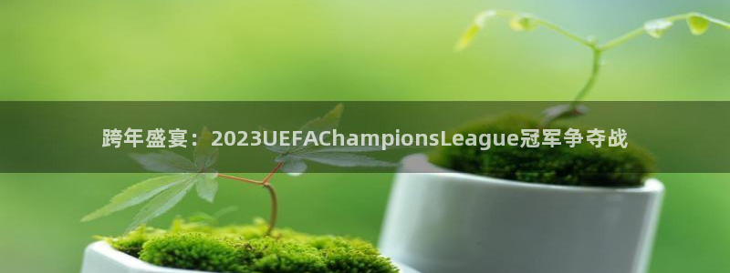  跨年盛宴：2023UEFAChampionsLeague冠军