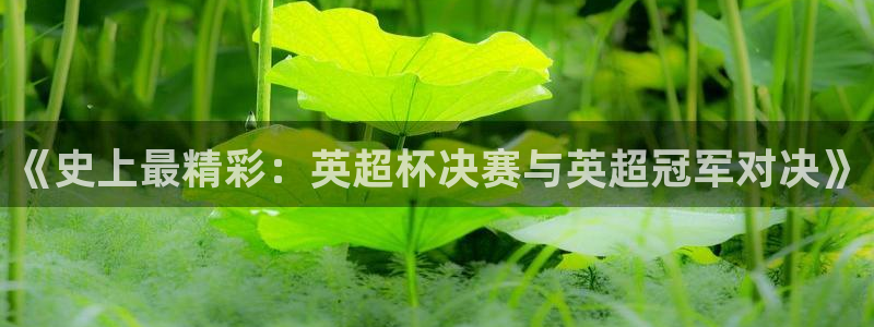  《史上最精彩：英超杯决赛与英超冠军对决》