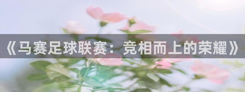  《马赛足球联赛：竞相而上的荣耀》