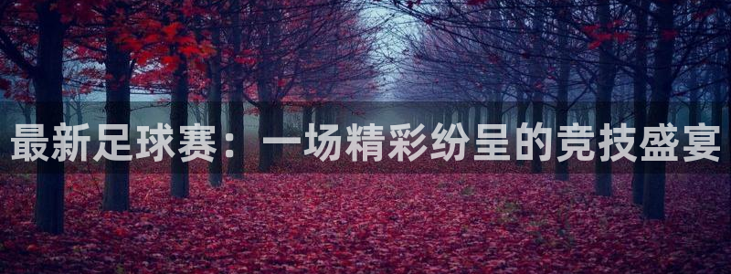  最新足球赛：一场精彩纷呈的竞技盛宴