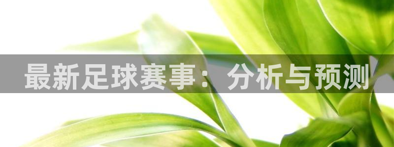 最新足球赛事：分析与预测
