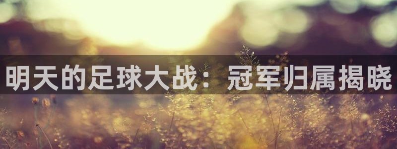 明天的足球大战：冠军归属揭晓