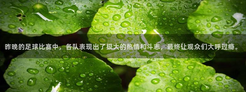  昨晚的足球比赛中，各队表现出了极大的热情和斗志，最终让观众们