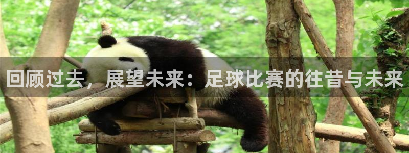  回顾过去，展望未来：足球比赛的往昔与未来