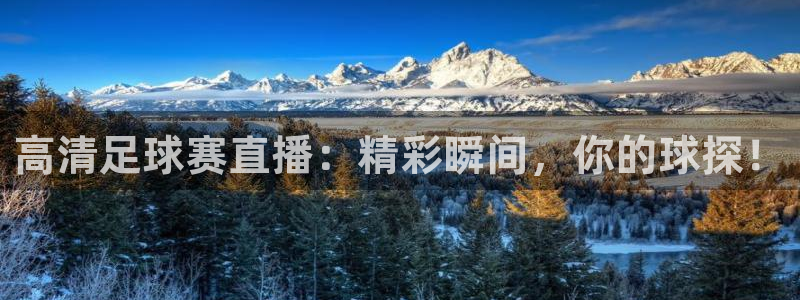 高清足球赛直播：精彩瞬间，你的球探！