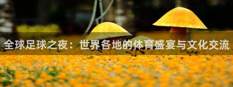  全球足球之夜：世界各地的体育盛宴与文化交流
