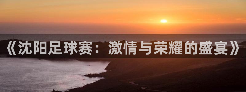 《沈阳足球赛：激情与荣耀的盛宴》