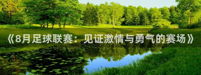 《8月足球联赛：见证激情与勇气的赛场》