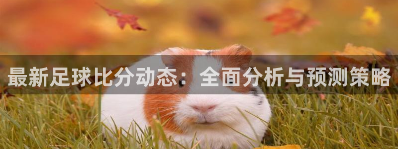  最新足球比分动态：全面分析与预测策略