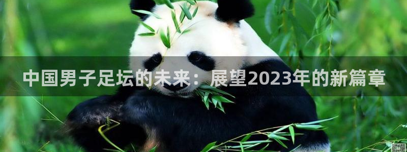 中国男子足坛的未来：展望2023年的新篇章
