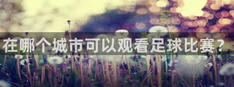  在哪个城市可以观看足球比赛？