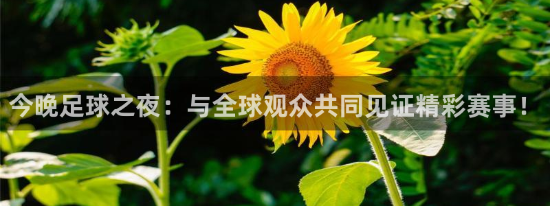 今晚足球之夜：与全球观众共同见证精彩赛事！