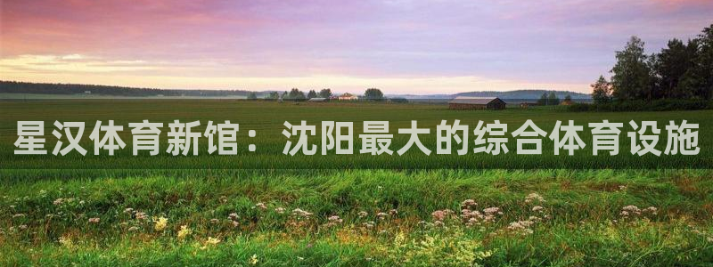3377体育全网