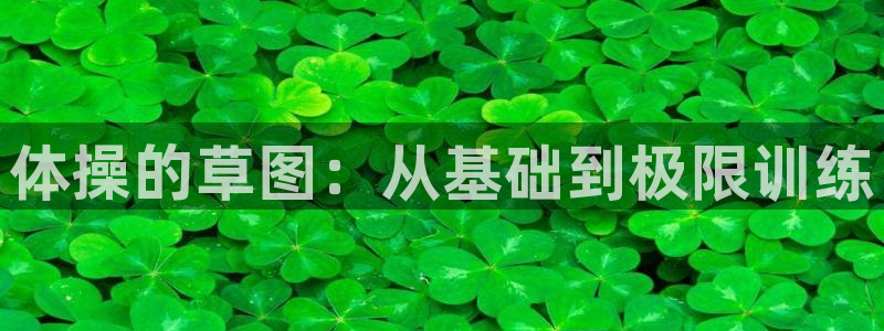 3377体育官网入口网页版：体操的草图：从基础到极限训练