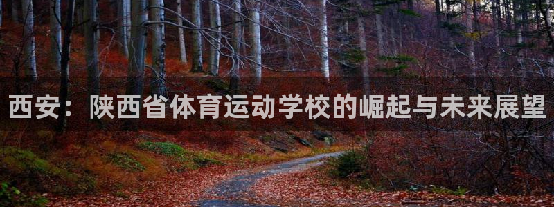 3377体育