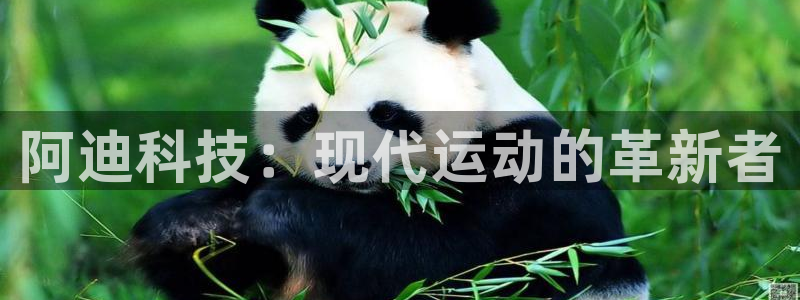 3377体育是正规的吗
