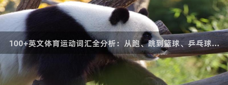 3377体育中国官方网站入口：100+英文体育运动词汇全分析：从跑、跳到篮球、乒乓球…