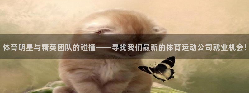 3377体育官网入口网页版：体育明星与精英团队的碰撞——寻找我们最新的体育运动公司就业机会!