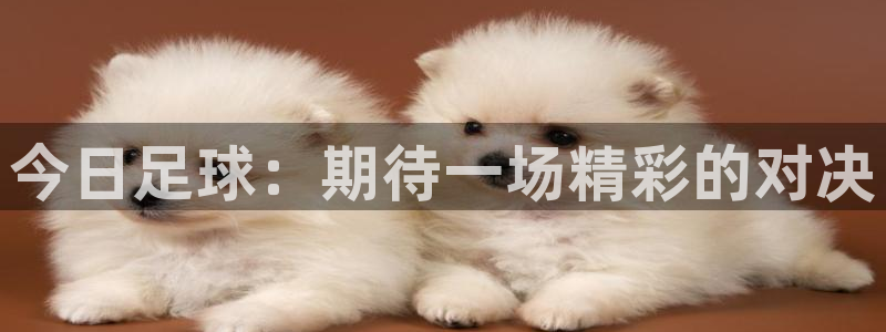 今日足球：期待一场精彩的对决