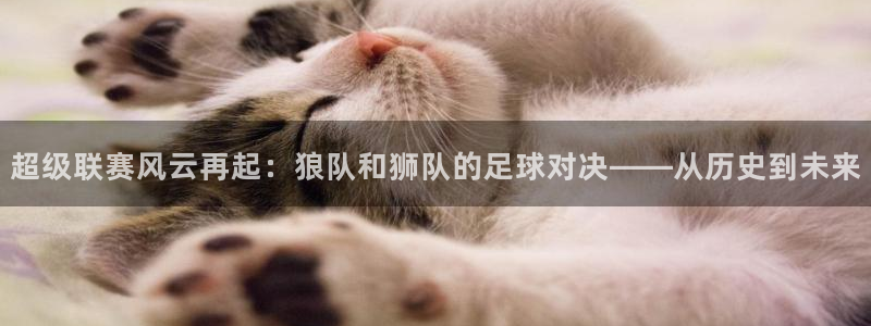 超级联赛风云再起：狼队和狮队的足球对