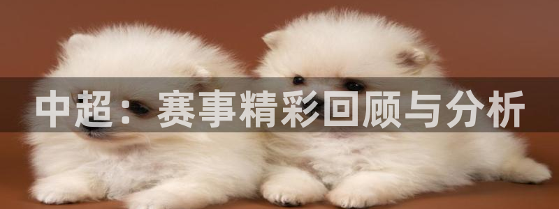 中超：赛事精彩回顾与分析