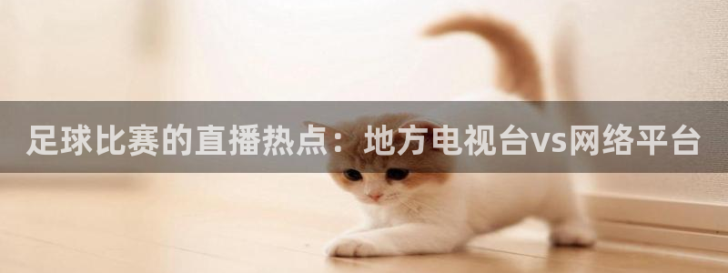 足球比赛的直播热点：地方电视台vs网