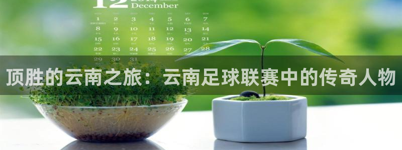 顶胜的云南之旅：云南足球联赛中的传奇