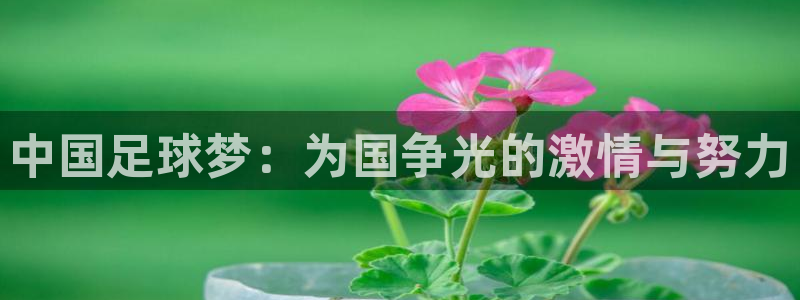 中国足球梦：为国争光的激情与努力