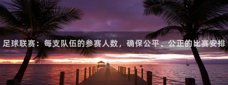 足球联赛：每支队伍的参赛人数，确保公