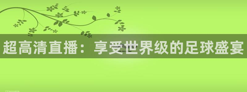 超高清直播：享受世界级的足球盛宴