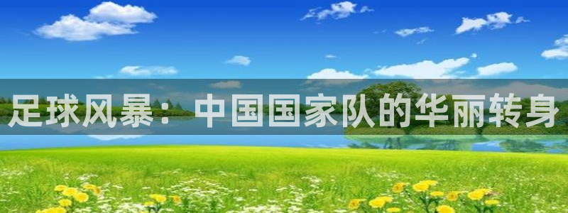 足球风暴：中国国家队的华丽转身