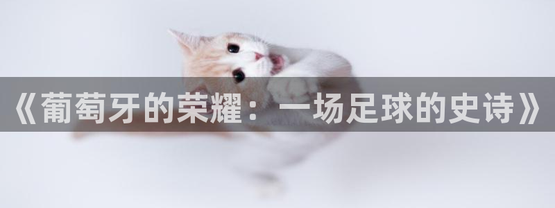 《葡萄牙的荣耀：一场足球的史诗》