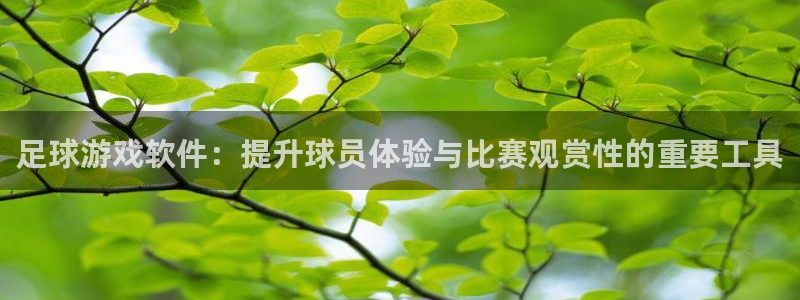 足球游戏软件：提升球员体验与比赛观赏
