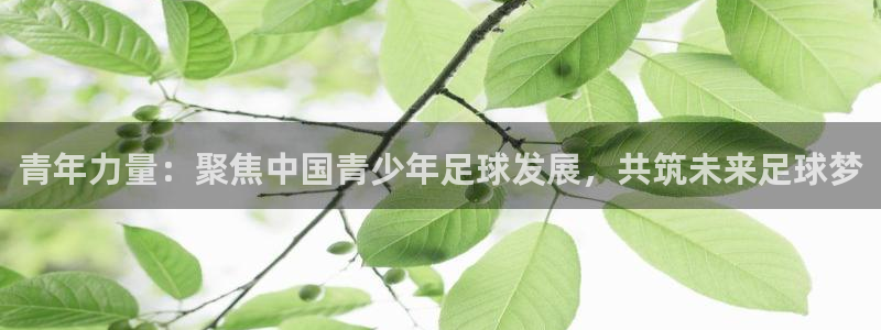 青年力量：聚焦中国青少年足球发展，共