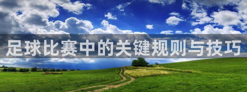 足球比赛中的关键规则与技巧