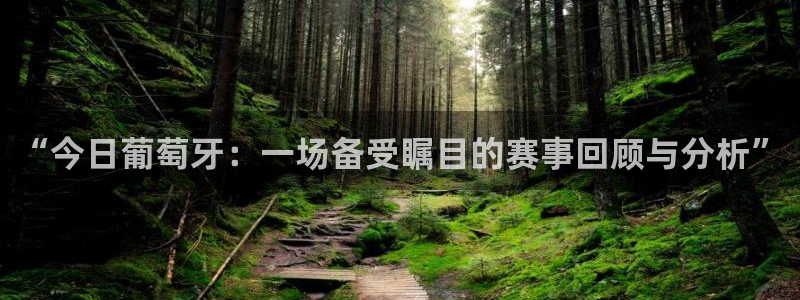 “今日葡萄牙：一场备受瞩目的赛事回顾